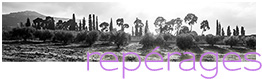 Photos reperages